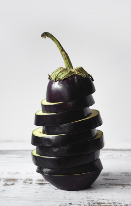 가지가지나무에서자란 가지