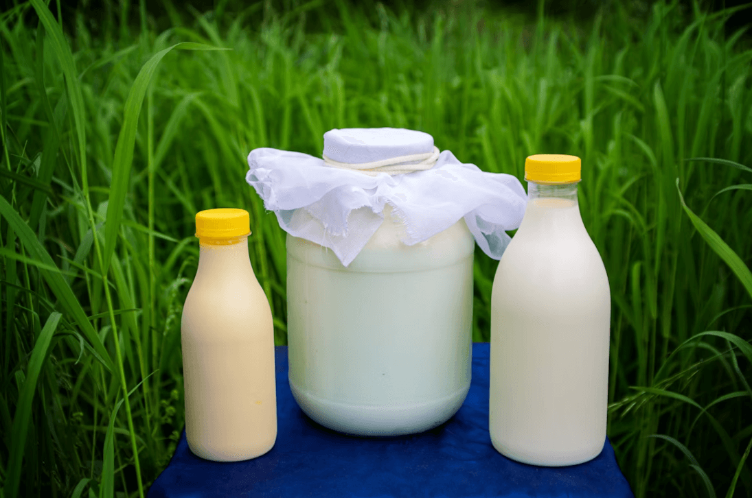 목장에서 바로 포장한 신선보스 우유 4L